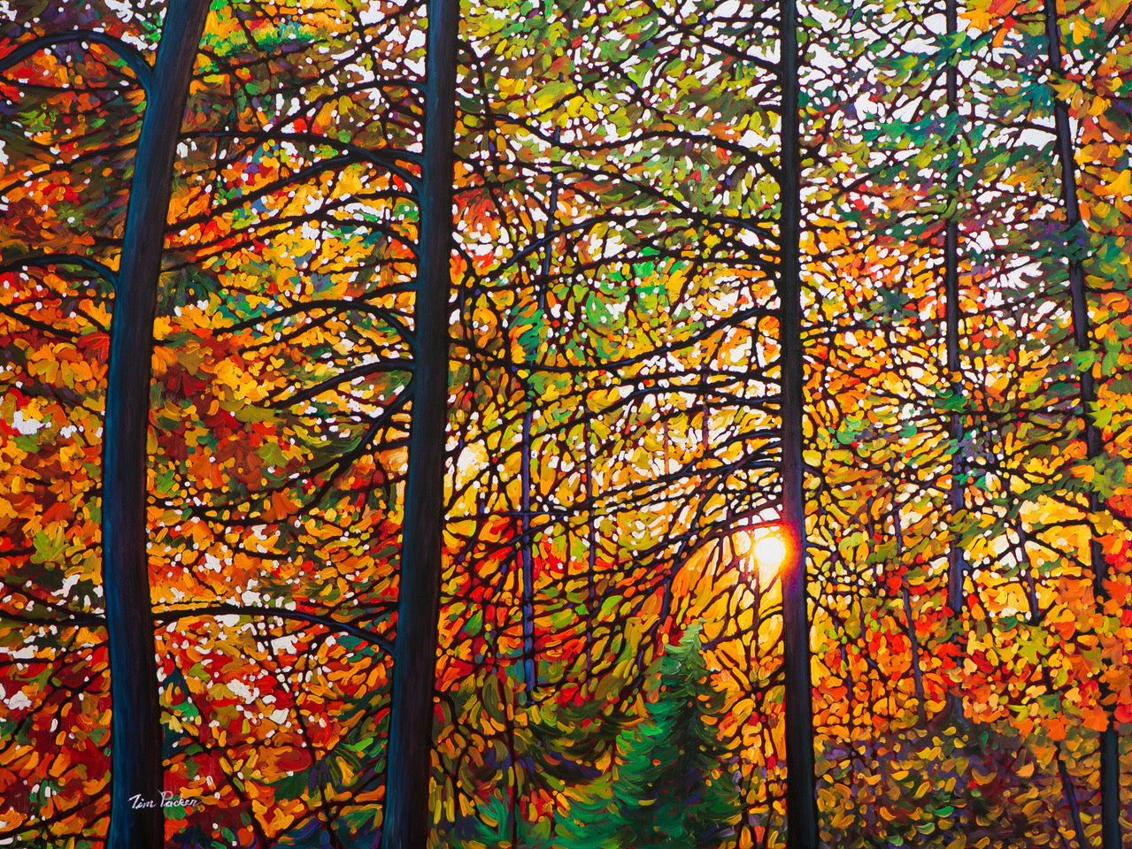 Afternoon Light Algoma (Giclée) - Tim Packer