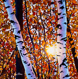 Algonquin Amber (print) - Tim Packer-Print-Eclipse Art Gallery