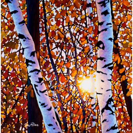 Algonquin Amber (print) - Tim Packer-Print-Eclipse Art Gallery