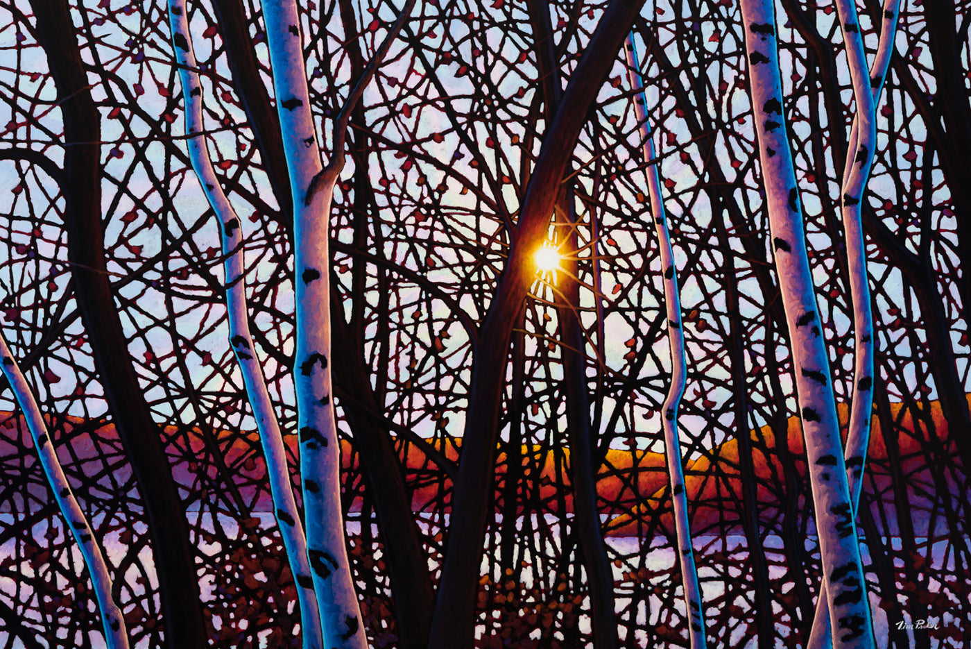 Beautiful Silence - Tim Packer-Painting-Eclipse Art Gallery
