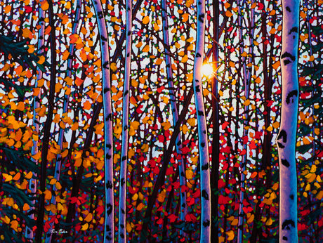 Brilliant Beauty - Tim Packer-Painting-Eclipse Art Gallery