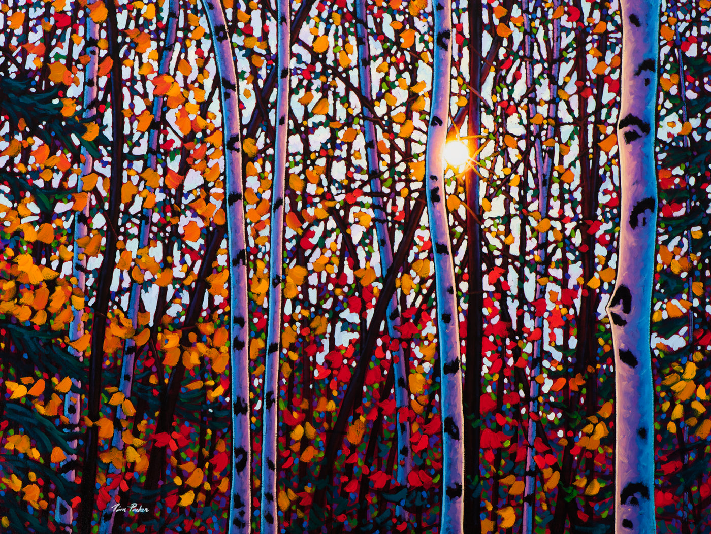 Brilliant Beauty - Tim Packer-Painting-Eclipse Art Gallery