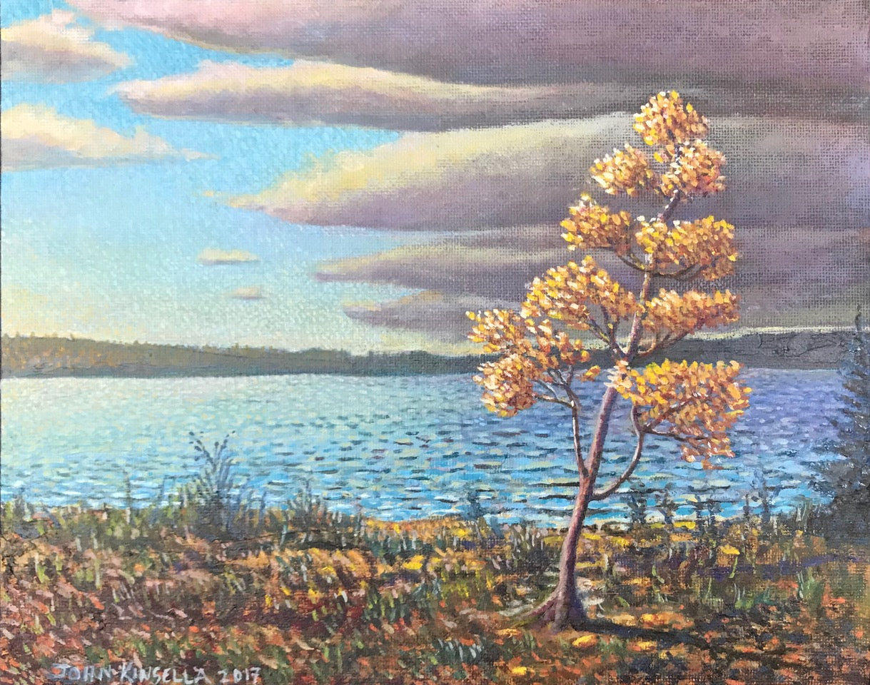 Clearing Storm - John Kinsella