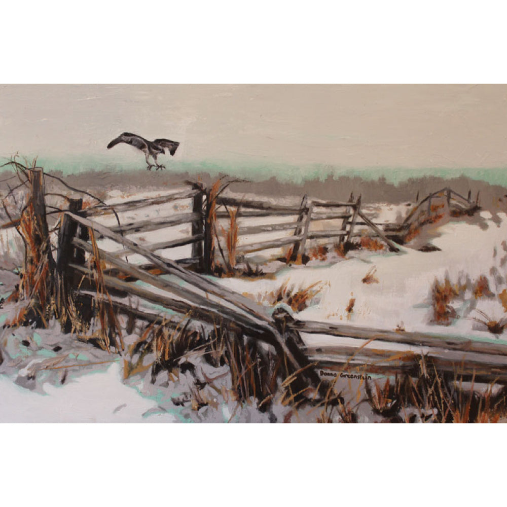 Perching Osprey - Donna Greenstein-Painting-Eclipse Art Gallery