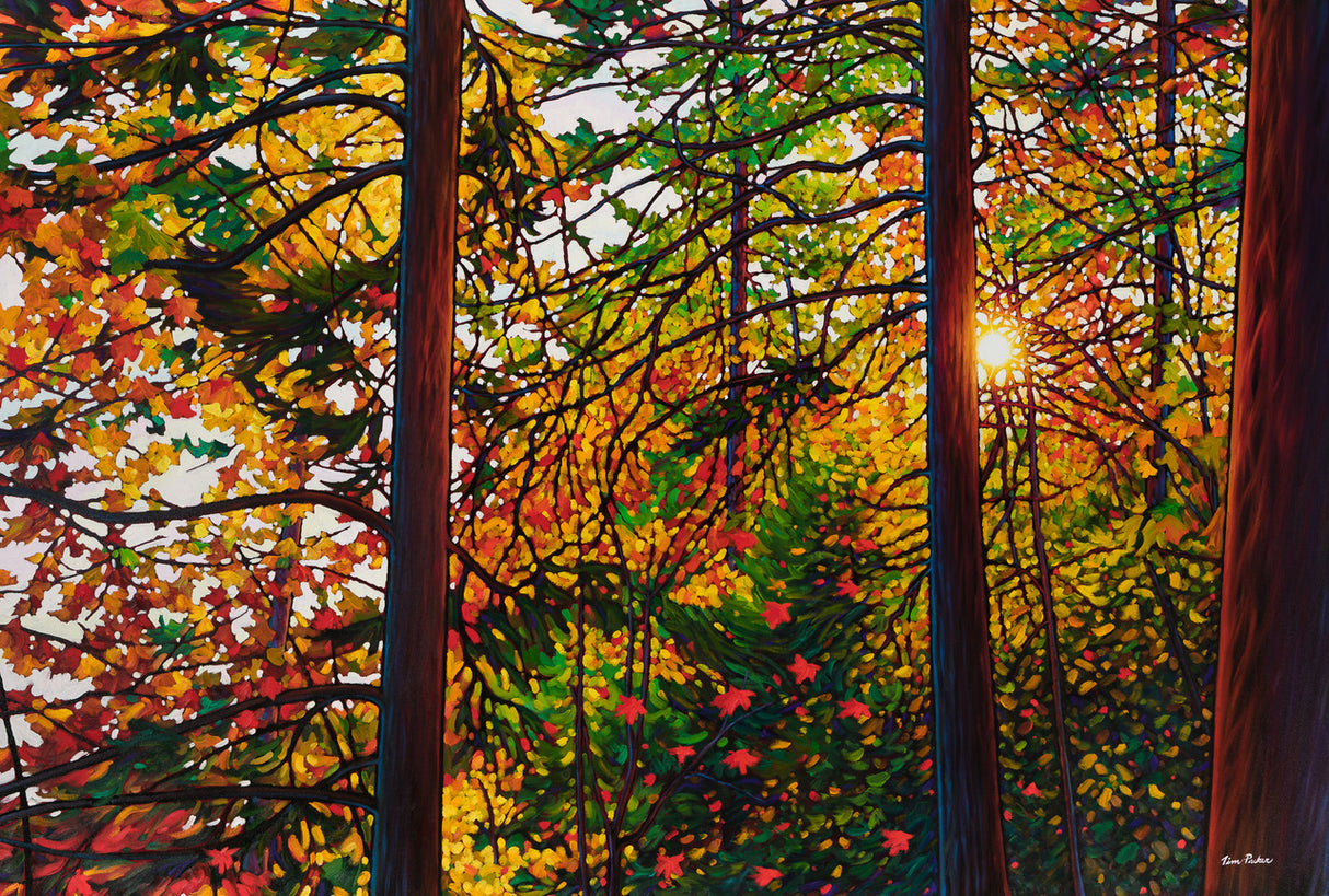 Glowing Pines Batchewana Bay (Giclée) - Tim Packer