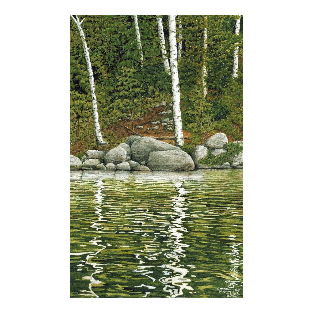 White Birches (giclee print) - Ed Novak-Print-Eclipse Art Gallery