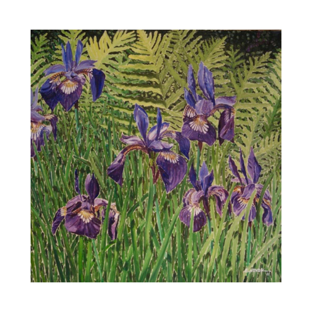 Irises - Ed Novak-Painting-Eclipse Art Gallery