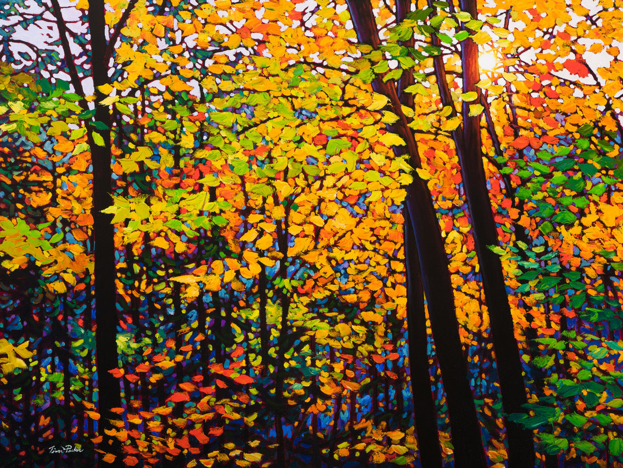 On The Right Path - Tim Packer