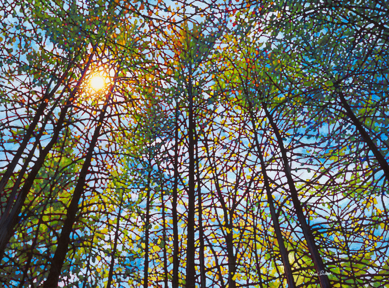 Spring Symphony (Giclée) - Tim Packer – Eclipse Art Gallery