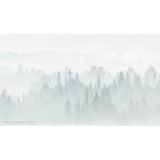 Algonquin Mist - Rob Stimpson-Photography-Eclipse Art Gallery