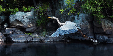 Along Ancient Granite - Colin Erricson-Photography-Eclipse Art Gallery