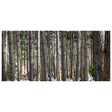 The Stand - Michael Toole-Photography-Eclipse Art Gallery
