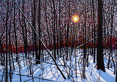 Winterfall - Tim Packer-Painting-Eclipse Art Gallery