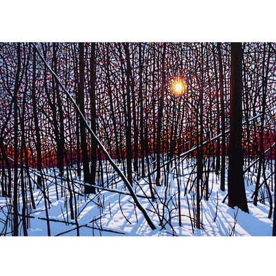 Winterfall - Tim Packer-Painting-Eclipse Art Gallery
